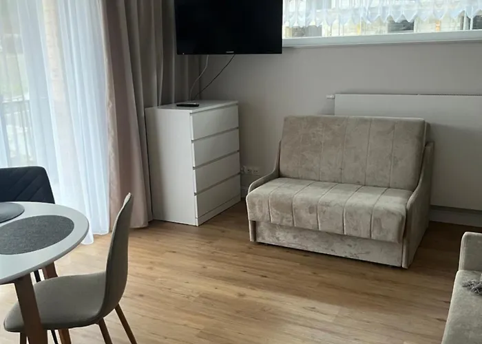 Apartman 22 - Izerski - Zdroj *