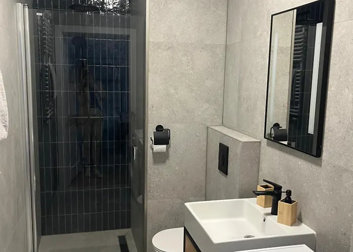 Apartman 22 - Izerski - Zdroj *